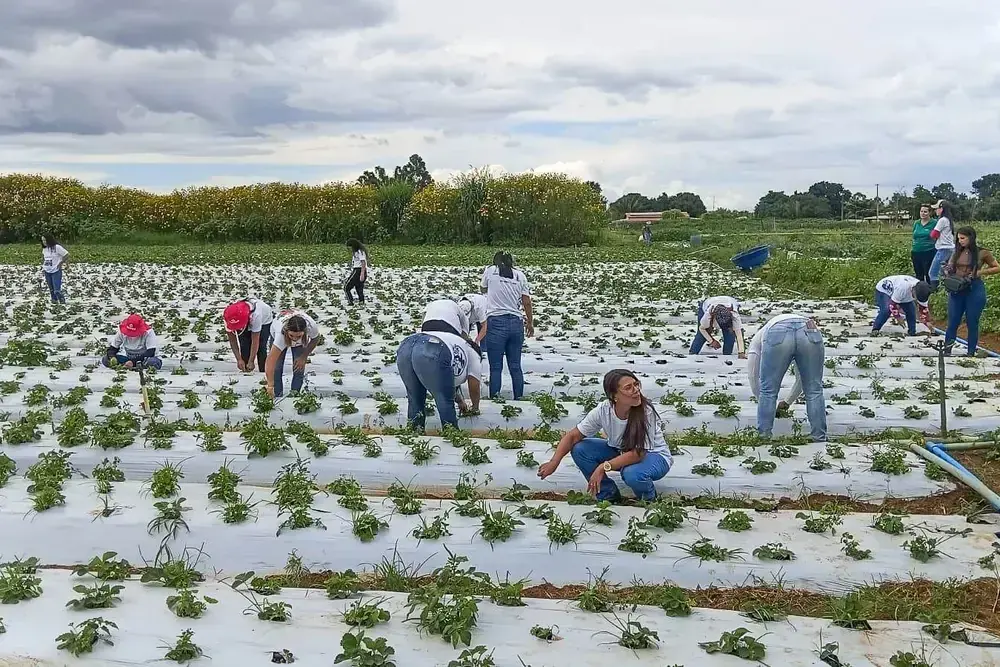 100 mulheres certificadas em programa rural no DF